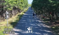 哈达门国家森林公园秋日美出圈