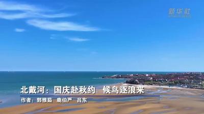 看北戴河限定“秋日观鸟图”