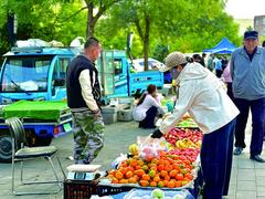 秋菜集中上市 集宁区便民早市购销两旺