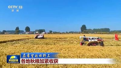 全国秋粮收获已过四成 各地保障颗粒归仓