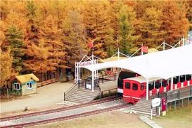 鎏金漫卷圣水梁！邂逅呼和浩特秋日山野