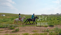 内蒙古三项旅游业地方标准修订发布