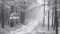 呼和浩特迎来秋末首场降雪 哈达门国家森林公园美成冰雪画卷