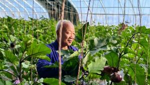 清家底 兴产业 惠民生！阿拉善以“三资”专项整治赋能乡村全面振兴